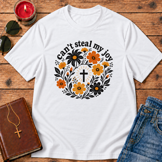 Can't Steal My Joy